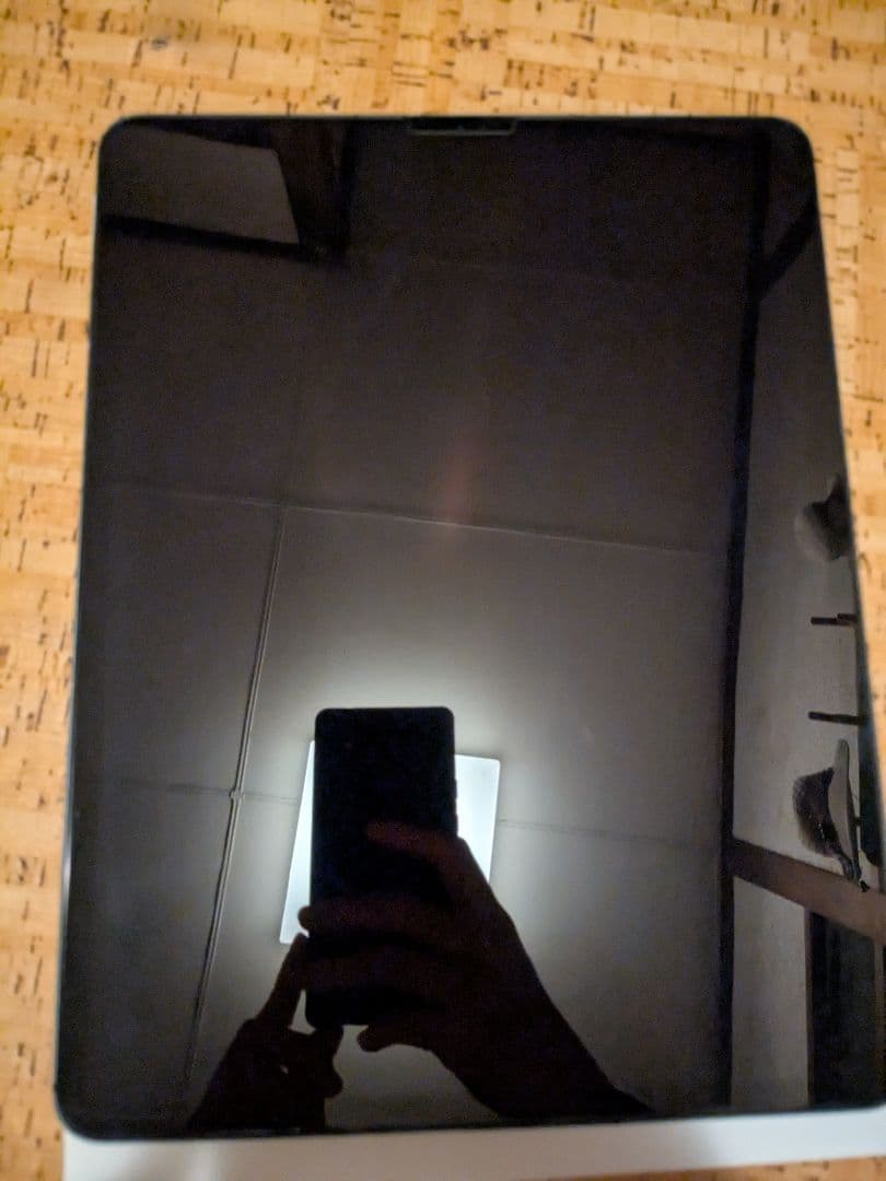 iPad Pro 12.9第3世代　512GBスペースグレー