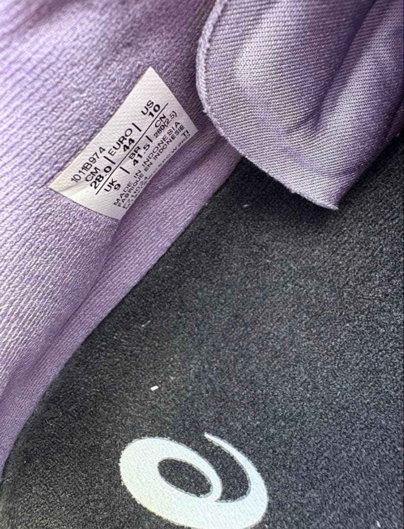 アシックス ノヴァブラスト5 NOVABLAST 28cm