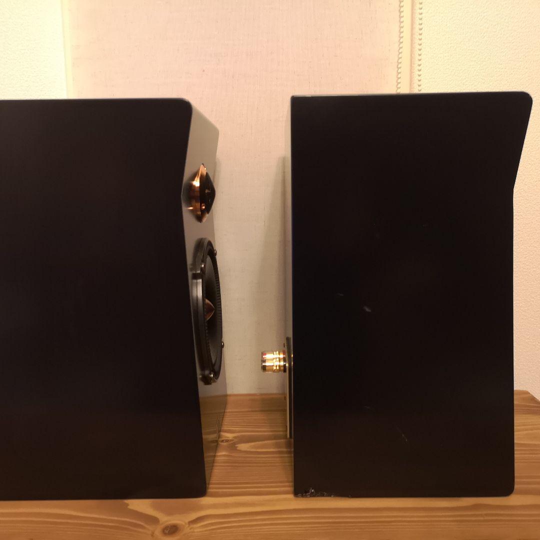 スピーカー　REQST PRO DSW-T1 ペア　レクストプロ