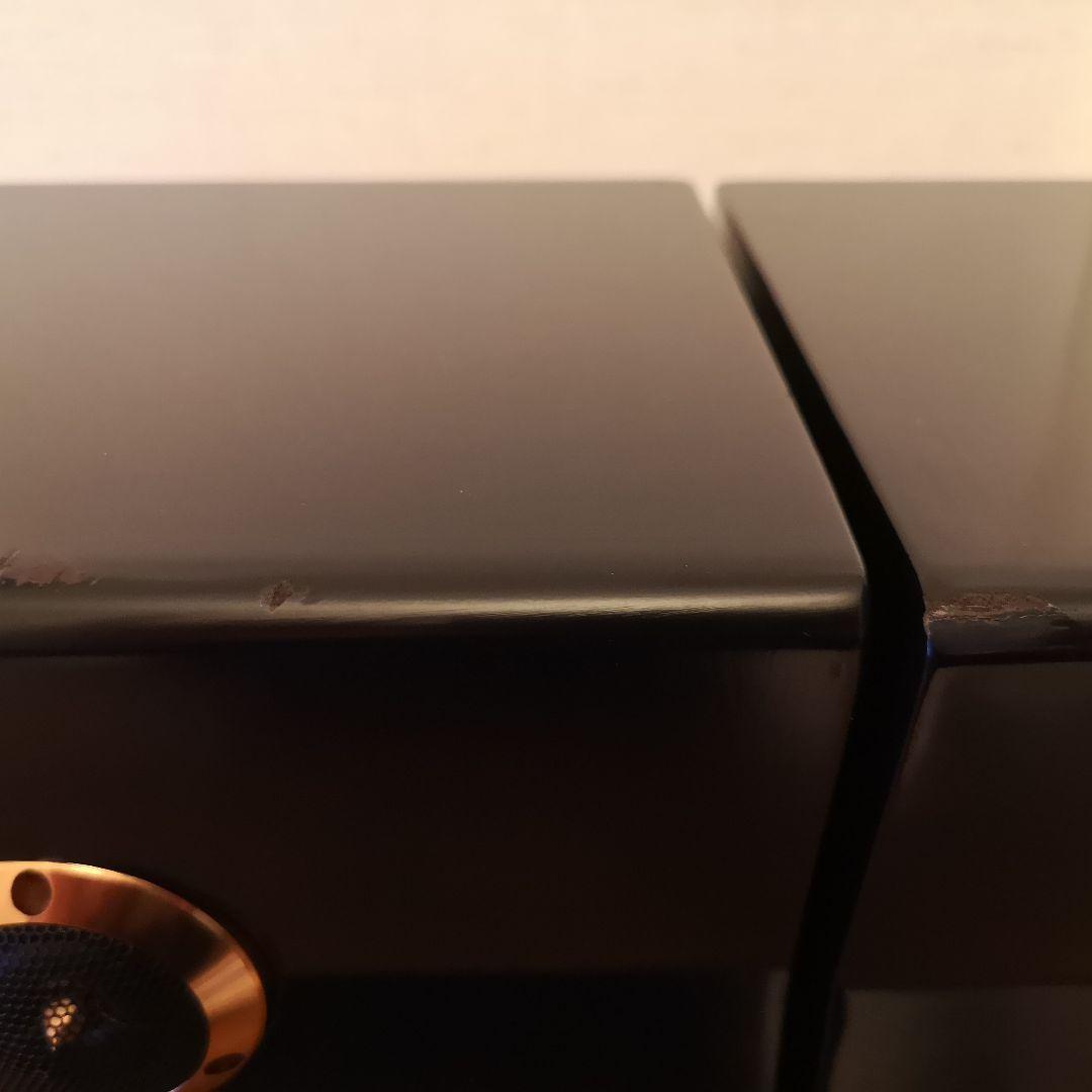 スピーカー　REQST PRO DSW-T1 ペア　レクストプロ