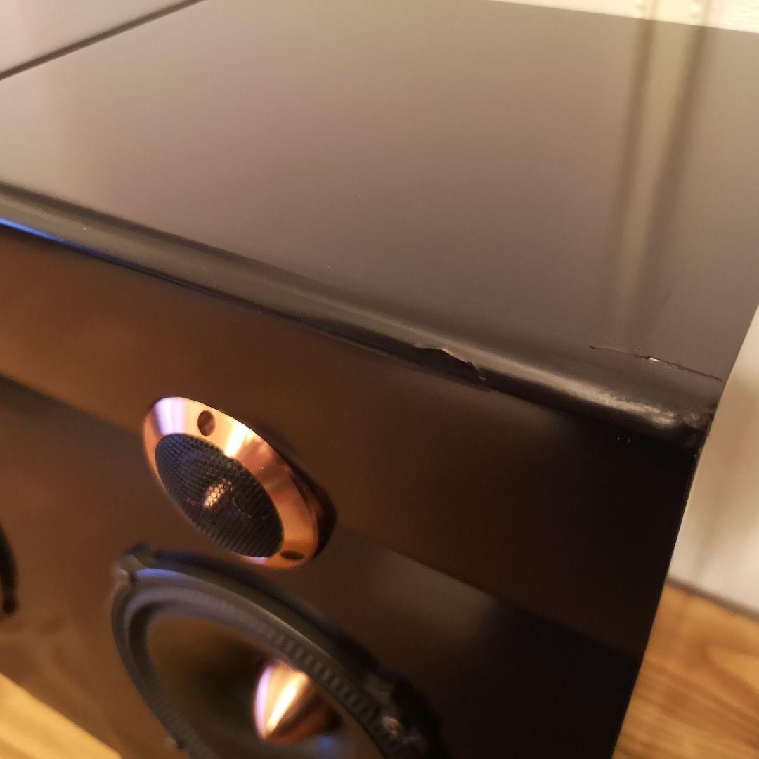 スピーカー　REQST PRO DSW-T1 ペア　レクストプロ