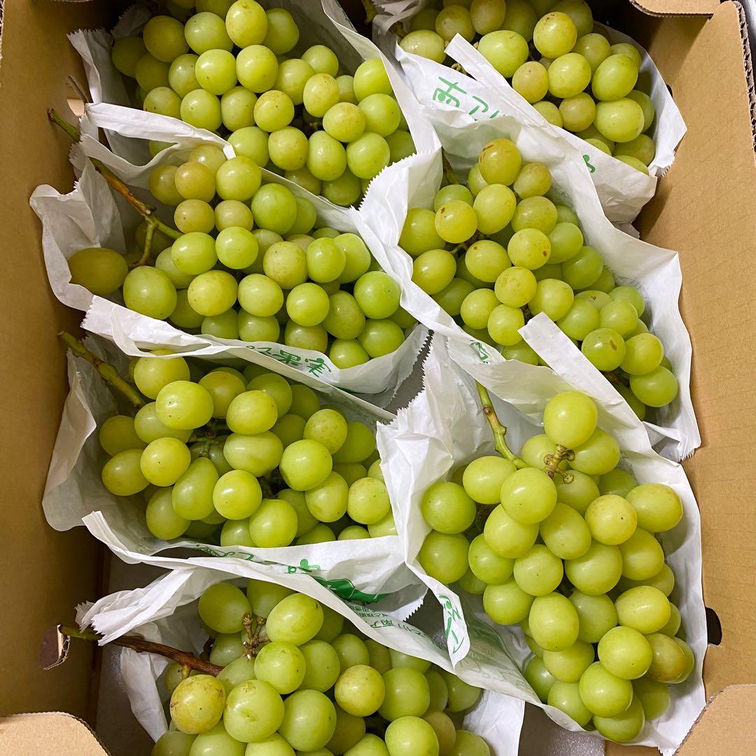 山梨県産　訳あり　家庭用　シャインマスカット　7房　箱込み5.4kg ①