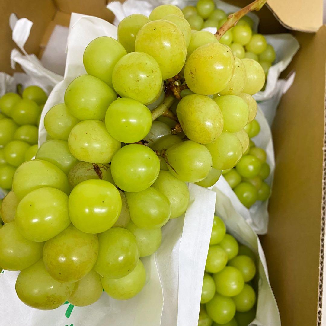 山梨県産　訳あり　家庭用　シャインマスカット　7房　箱込み5.4kg ①