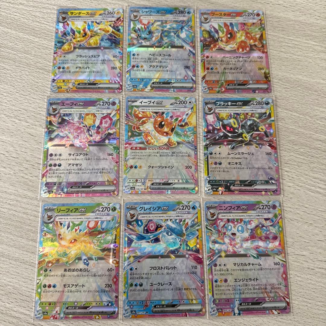 テラスタルフェス まとめ売り ブイズコンプ