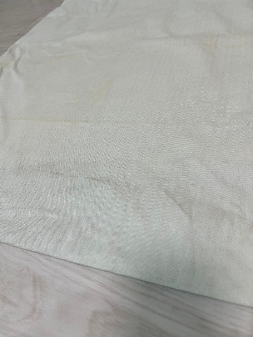 LOEWE ストロー かごバッグ ベージュ