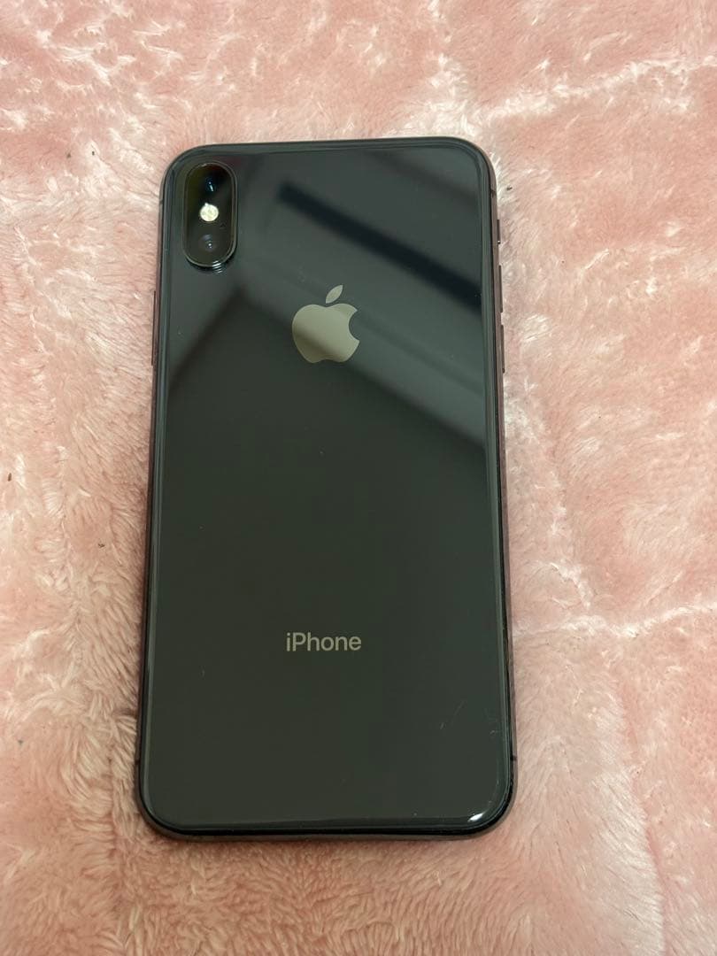 Apple iPhone X (10) 本体