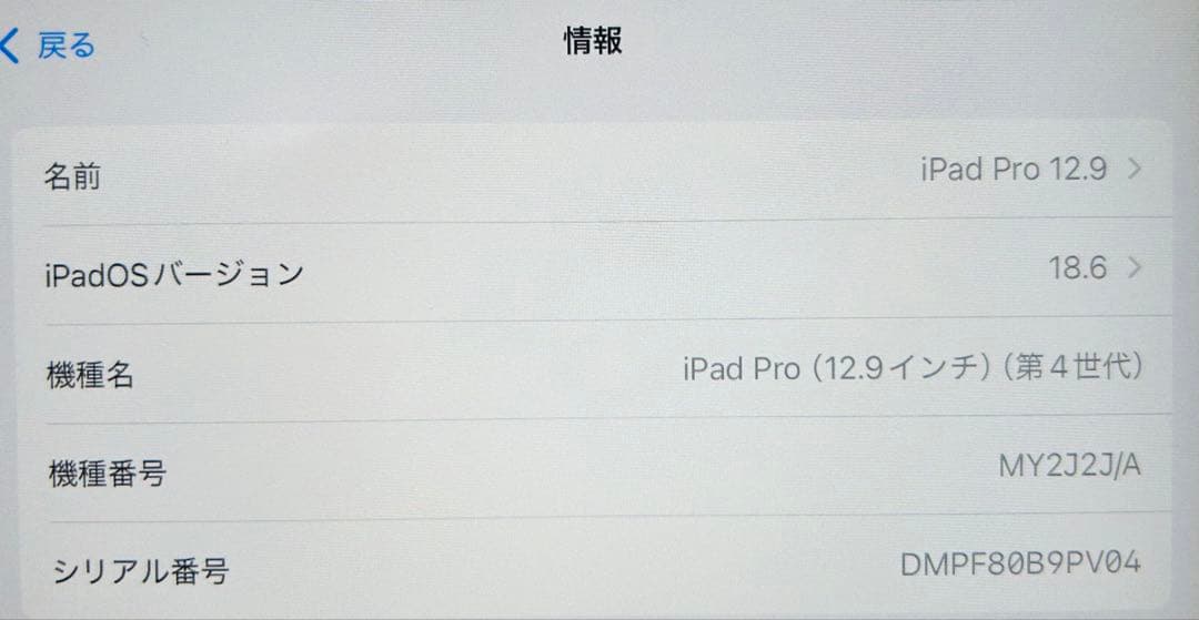 iPad Pro 12.9 (第4世代) ＆Apple pencil(第2世代)