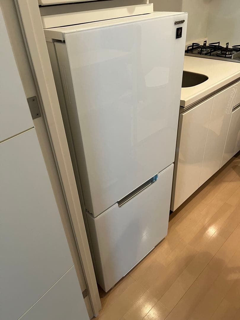 SHARP冷蔵庫2024年製152L 一人暮し向け　プラズマクラスター