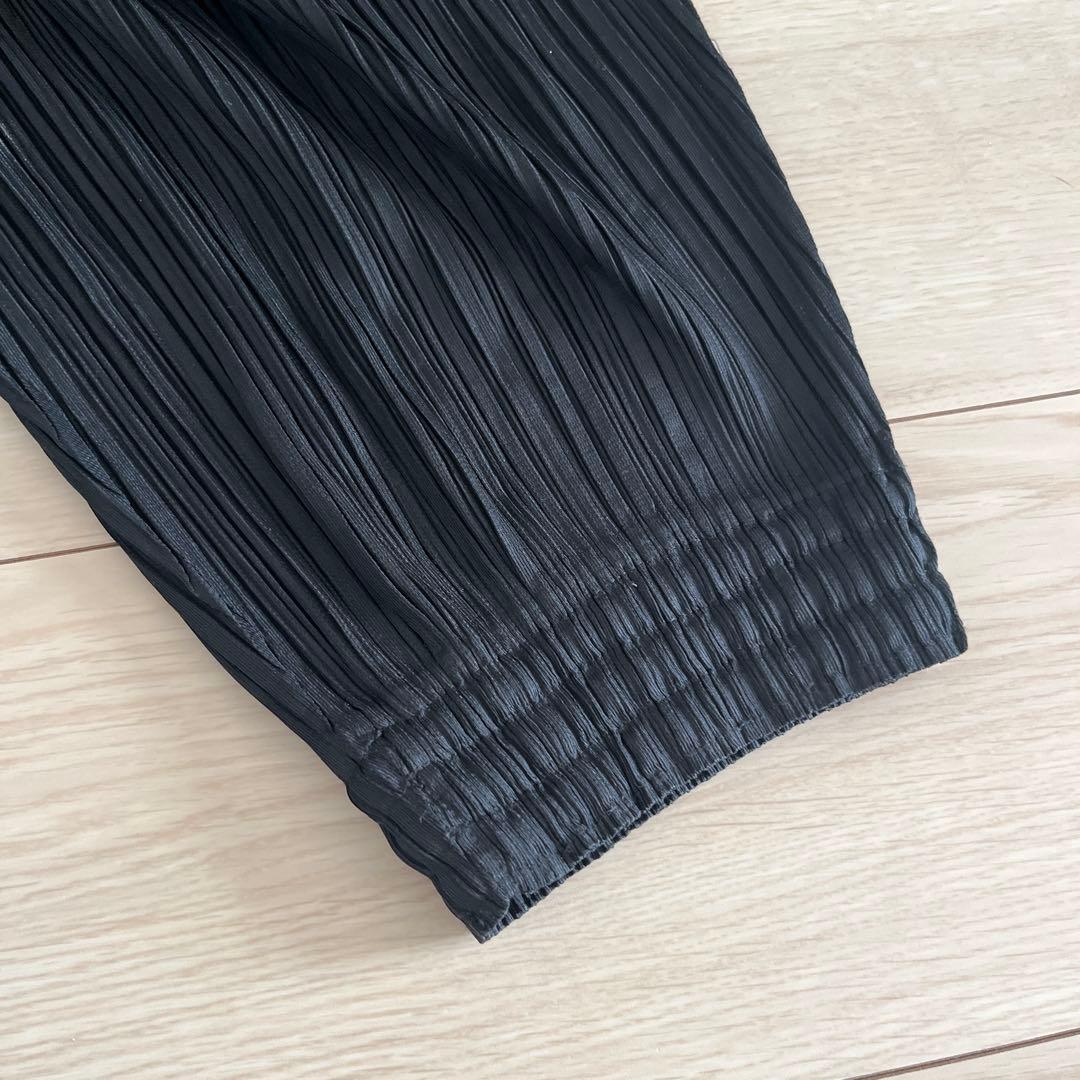 イッセイミヤケ issey miyake pleats please