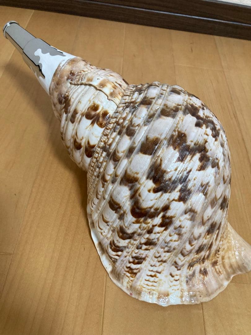 法螺貝　ほら貝　ホラ貝　山伏 修験道　和太鼓　お祭り　魔除け　当山派　本山派