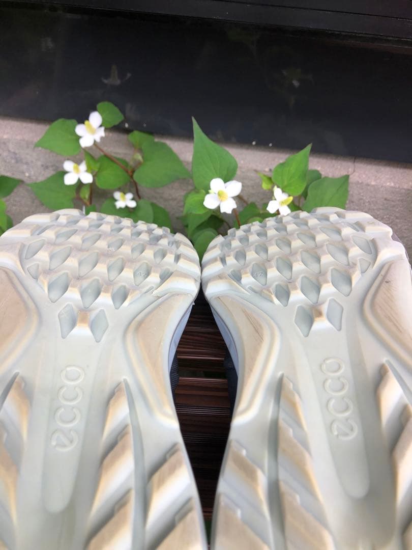 333番 ECCO BIOM C4ゴルフシューズ42 26.5～27.0cm