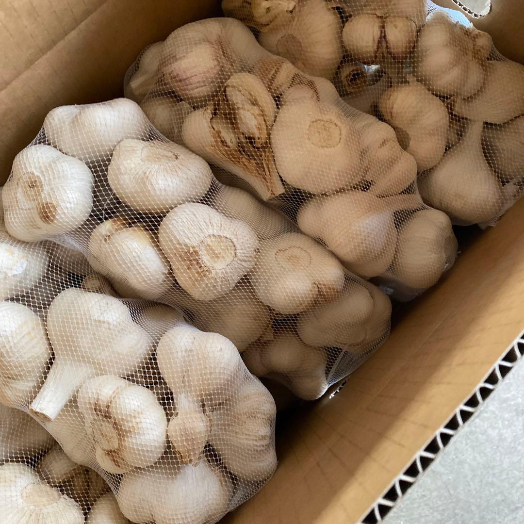 青森県にんにく10Kg M加工おすすめ