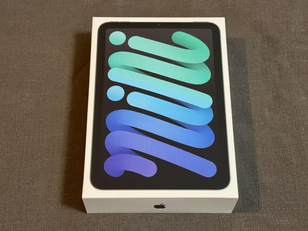 美品 iPad mini セルラー 256GB スペースグレイ A17 第7世代