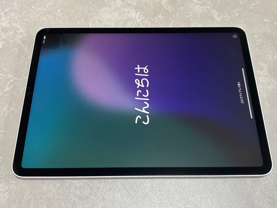 Apple iPad Pro 11 第2世代　256GB Wi-Fi