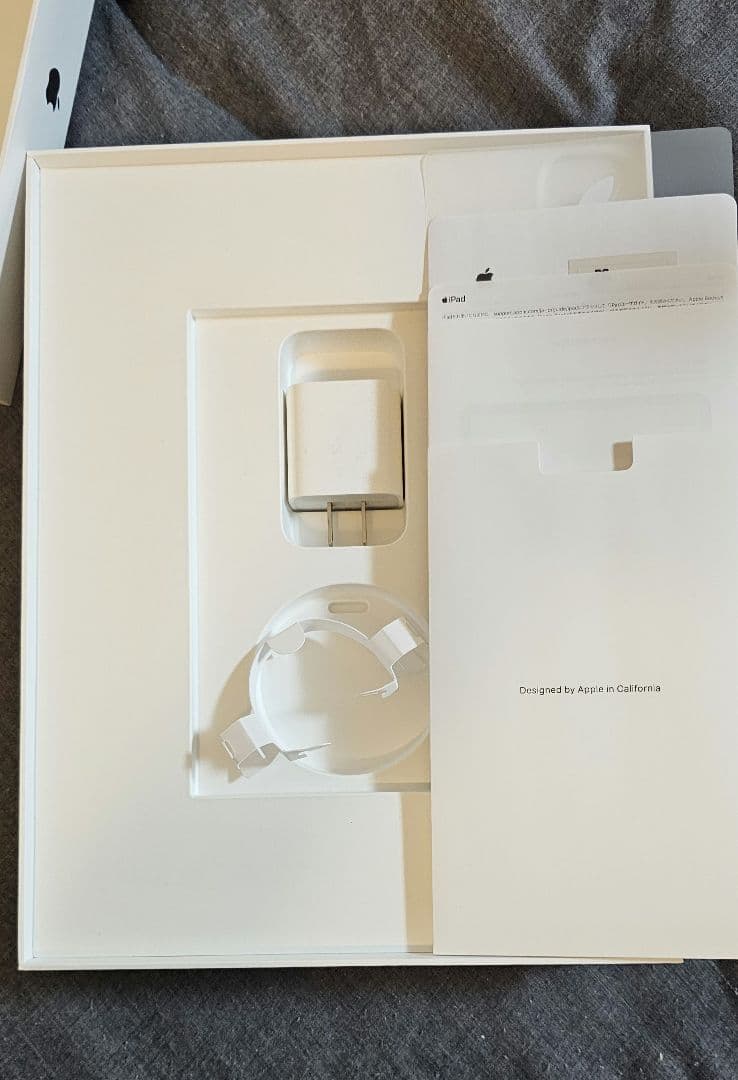 Apple iPad Pro 12.9 第5世代 wi-fiモデル 256GB