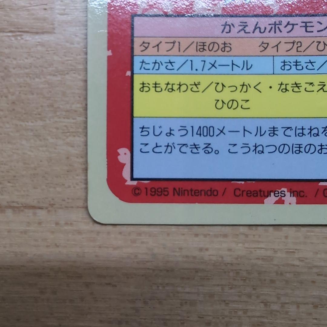 リザードン　裏青　トップサン