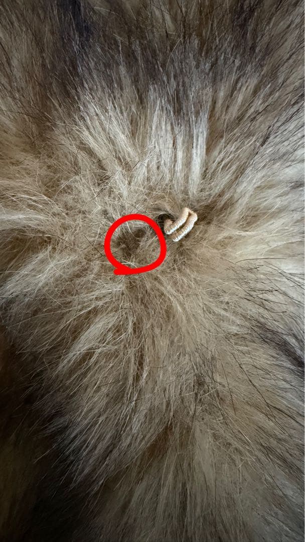 lagua gem POCKET POINT FAUX FUR コート　BEG