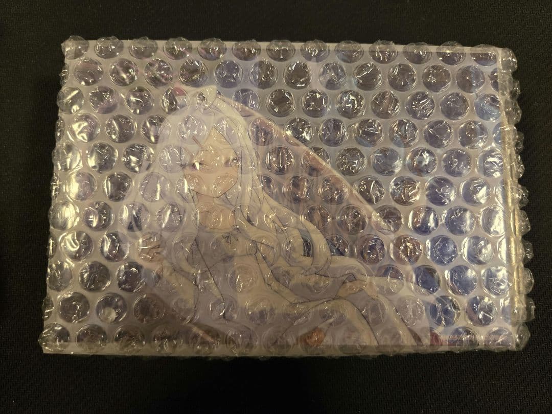 COTSUBU for ASMR 3D ブルーアーカイブ ヒナ アクスタ付き