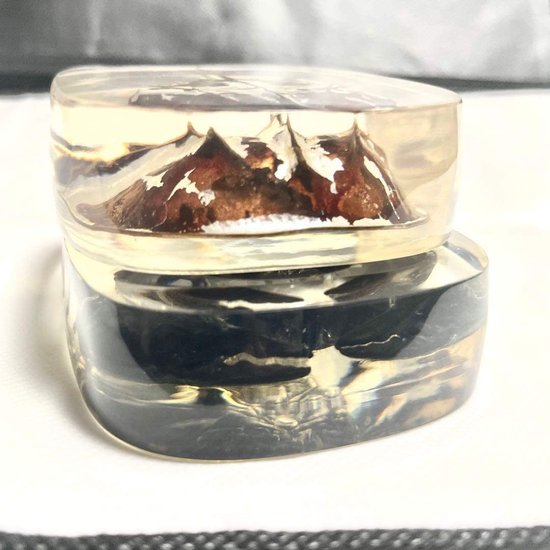 【特大】カブトガニ &クロサソリ　アクリル樹脂標本セット