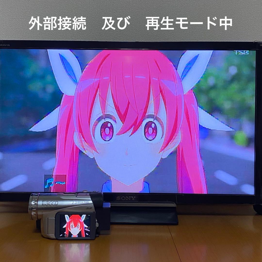 ビデオカメラ Panasonic NV-GS200