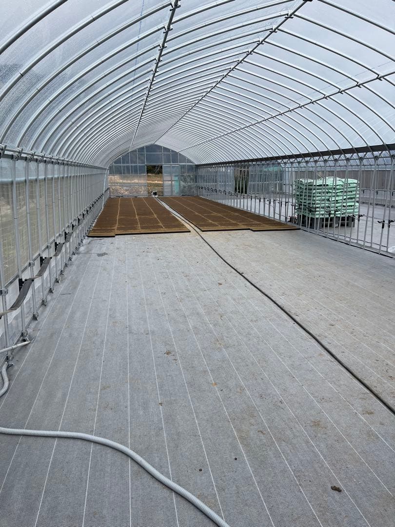 ⭐︎数量限定⭐︎新米 コシヒカリ 千葉県いすみ市産 20キロ　白米　無洗米