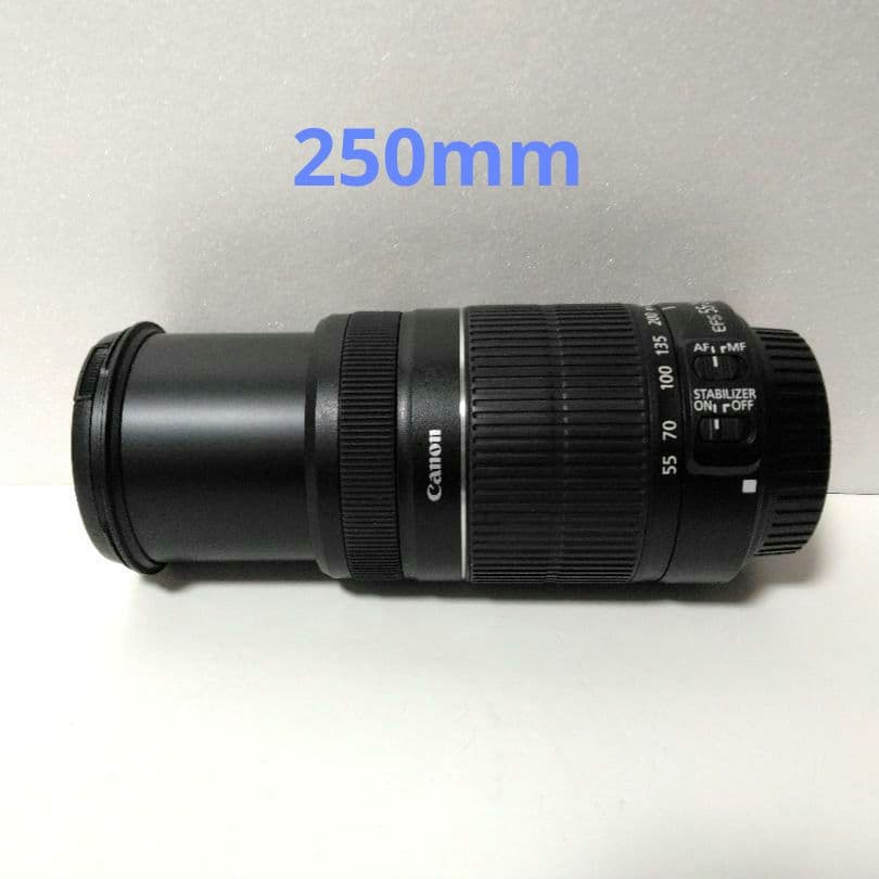 キヤノンの望遠ズームレンズ「EF-S55-250mm F4-5.6 IS II」