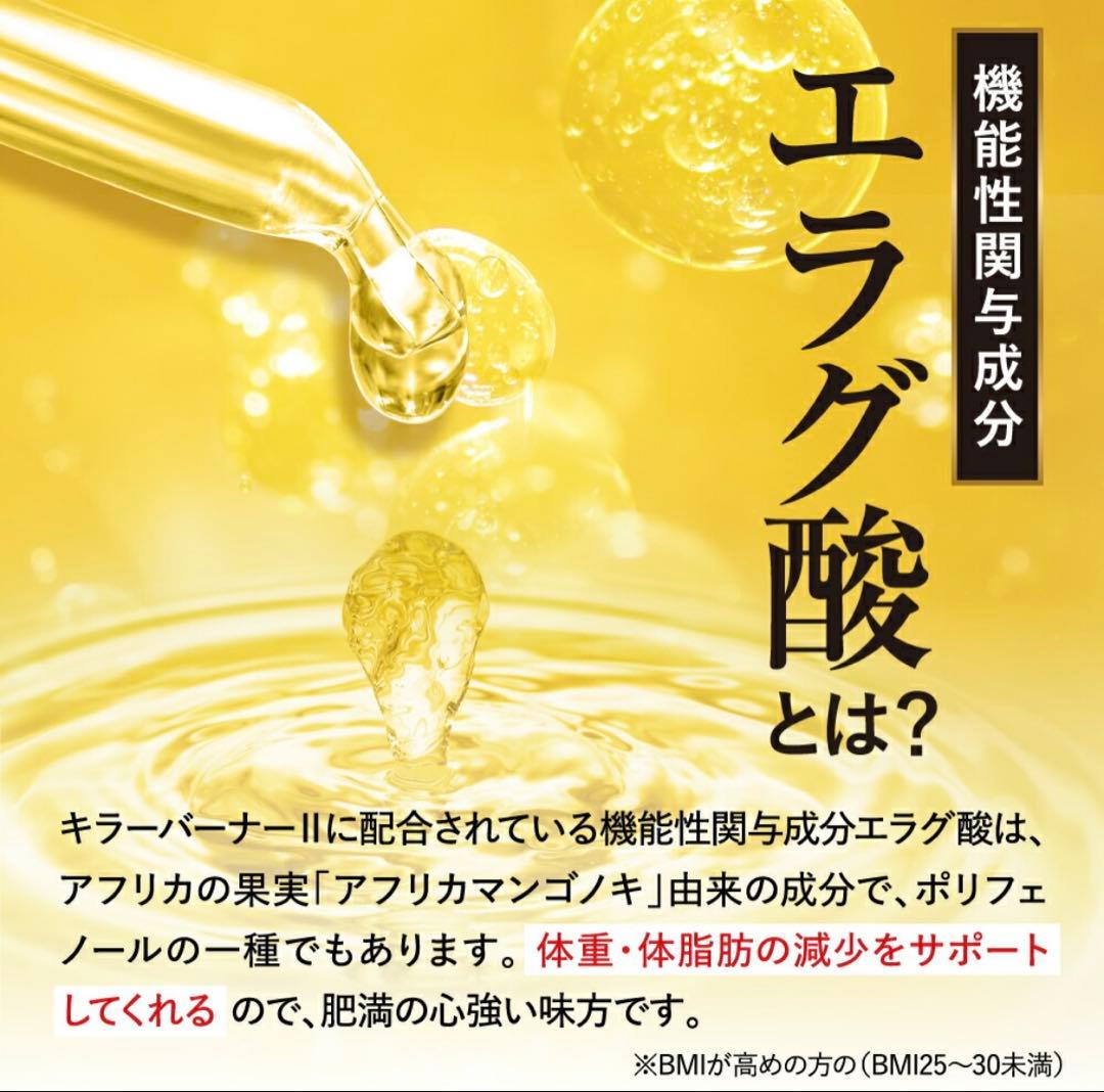 【サムシングさん専用】KILLER BURNER II ダイエットサプリ