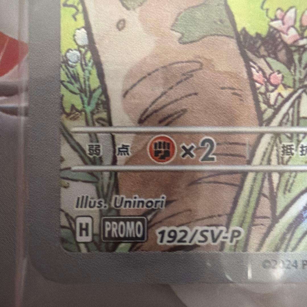 未開封プロモ4枚入　スタートデッキジェネレーションズスペシャルバトルセット