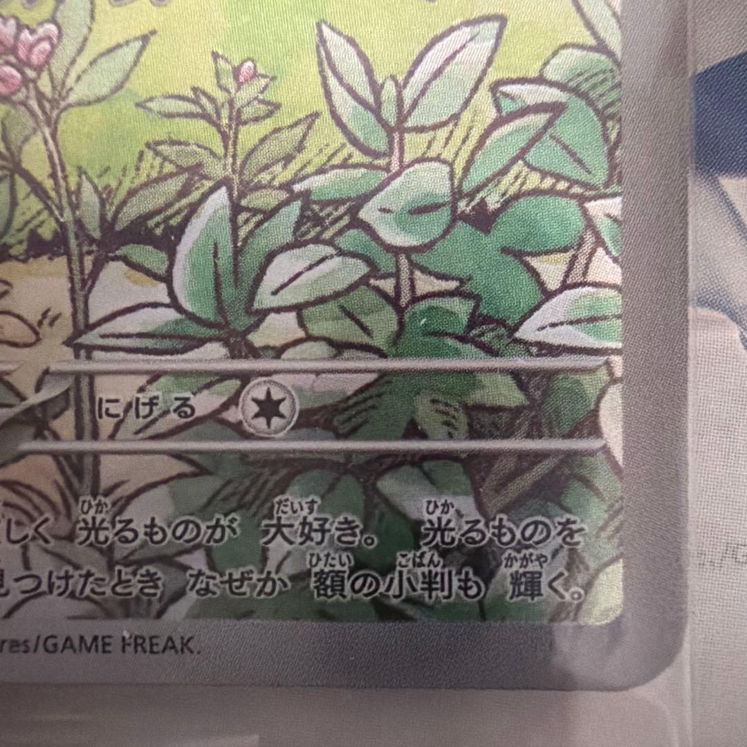 未開封プロモ4枚入　スタートデッキジェネレーションズスペシャルバトルセット