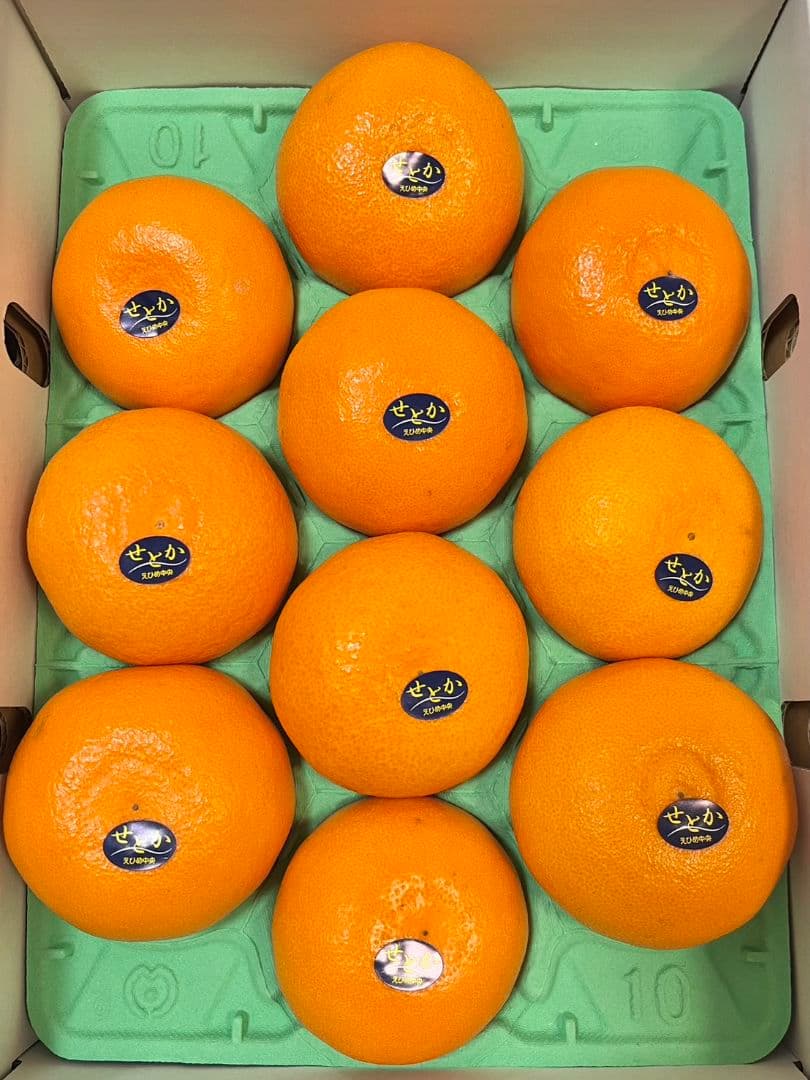 愛媛中央より　ハウス「せとか」秀品3L化粧箱入