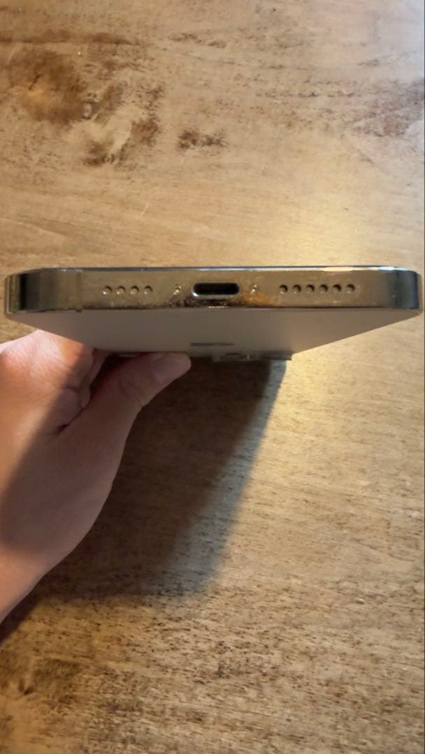 iPhone 12 pro max 即日発送のネコさん専用