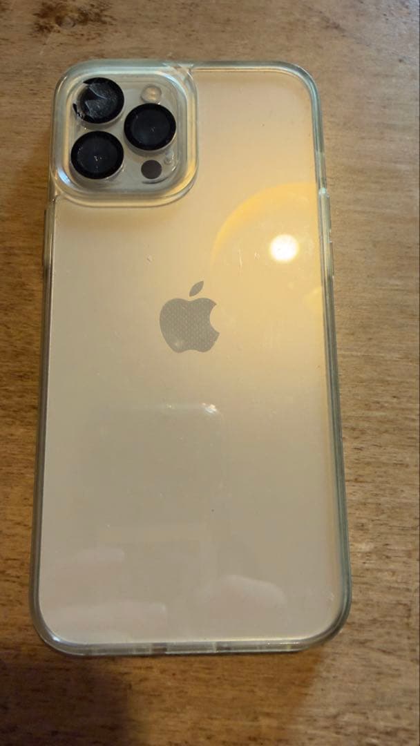 iPhone 12 pro max 即日発送のネコさん専用