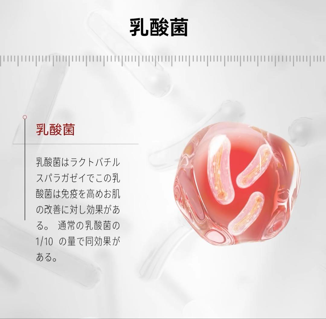 DDS RENOVATIO 乳酸菌 サプリ バイオエッセンス