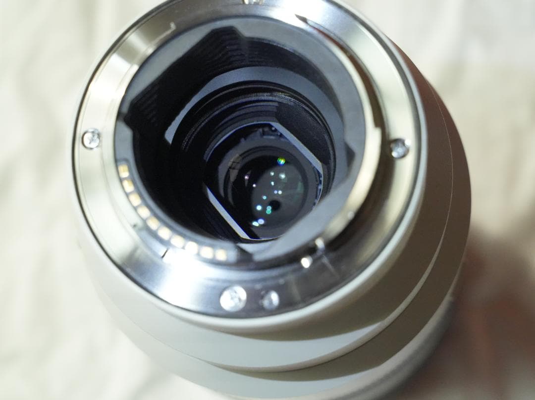 望遠&マクロ SONY FE70-200mm F4 MacroG OSS II