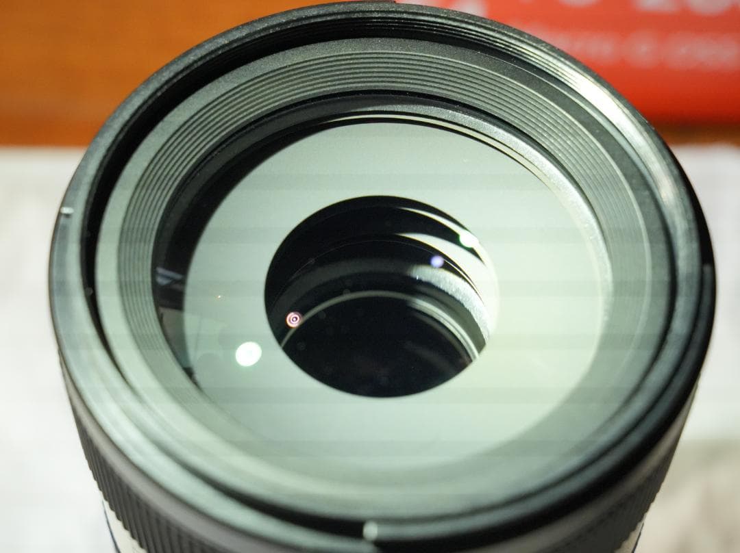 望遠&マクロ SONY FE70-200mm F4 MacroG OSS II