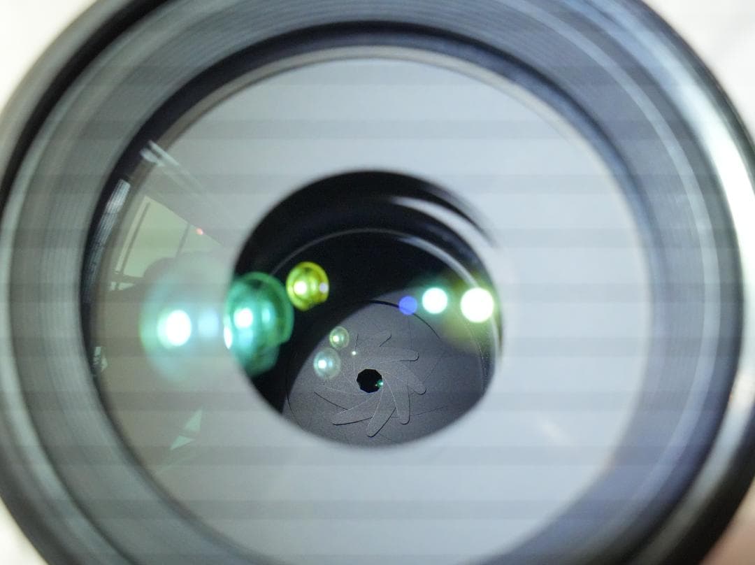 望遠&マクロ SONY FE70-200mm F4 MacroG OSS II