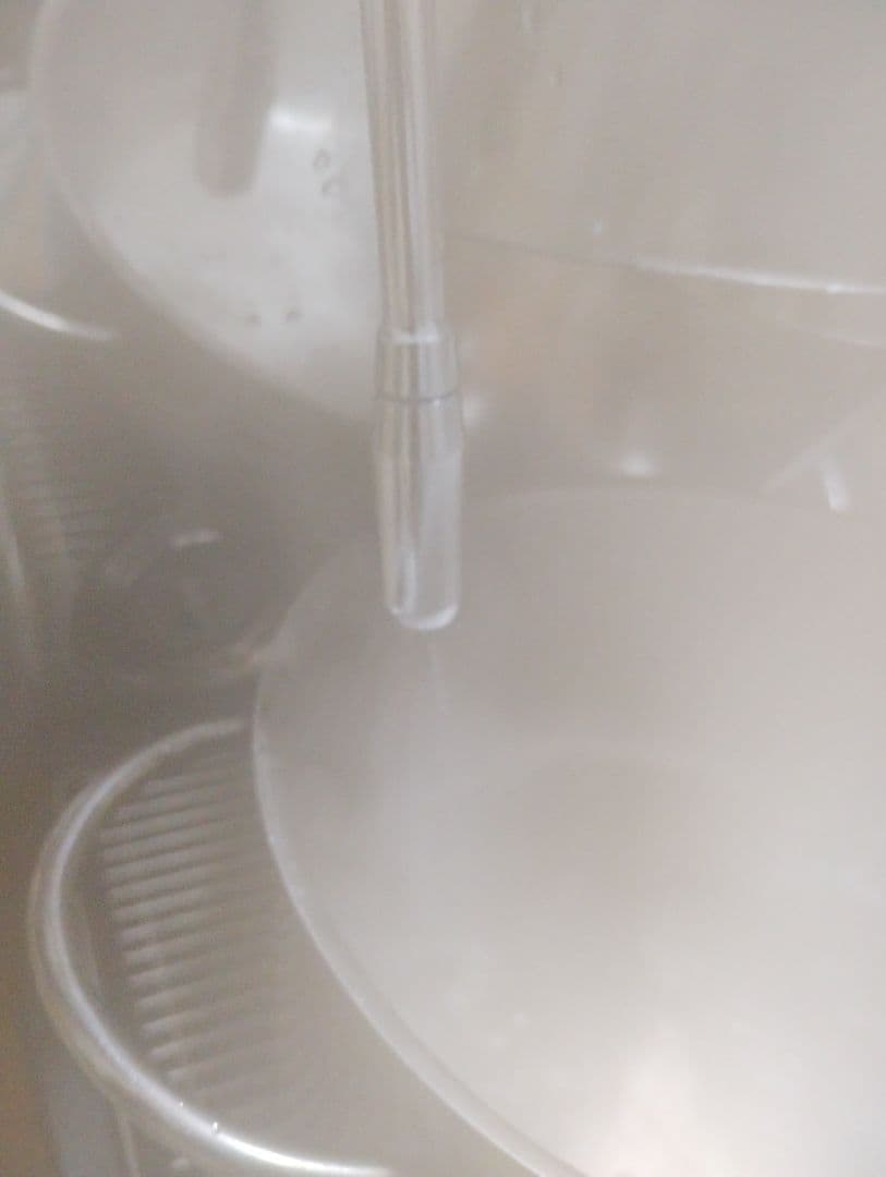 NUOVA SIMONELLI MUSICA ヌォーヴァ シモネリ ムジカ