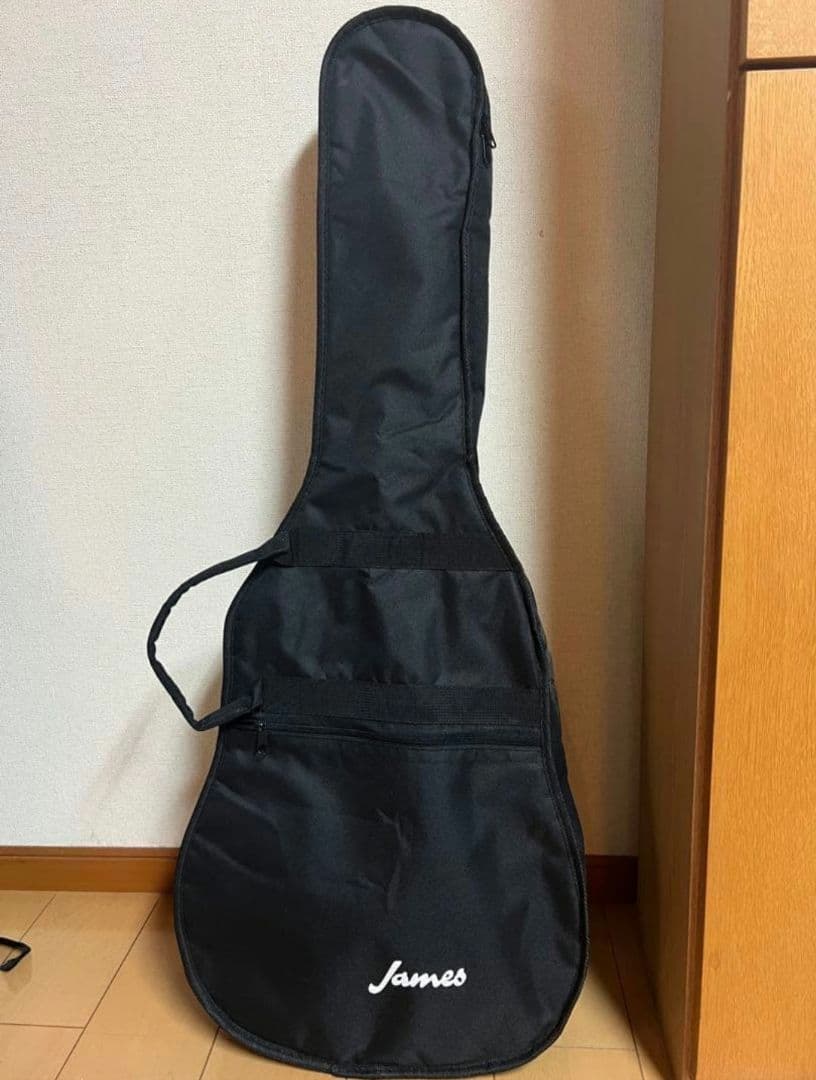【美品】James J-300A NAT アコースティックギター　ソフトケース付