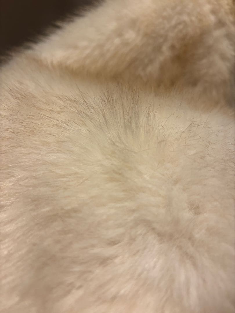 【最終値下げ】jouetie ベルトミドルファーコート　アイボリー