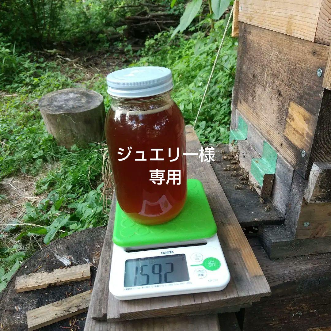ジュエリー 日本蜜蜂天然 ハチミツ 1160g 八ヶ岳西麓1250m
