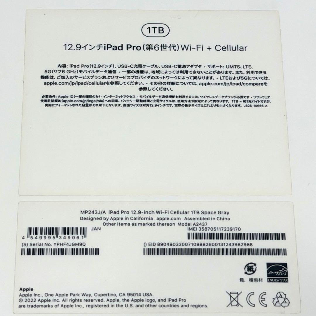 iPad pro 12.9inch第6世代 1TB simfree100%