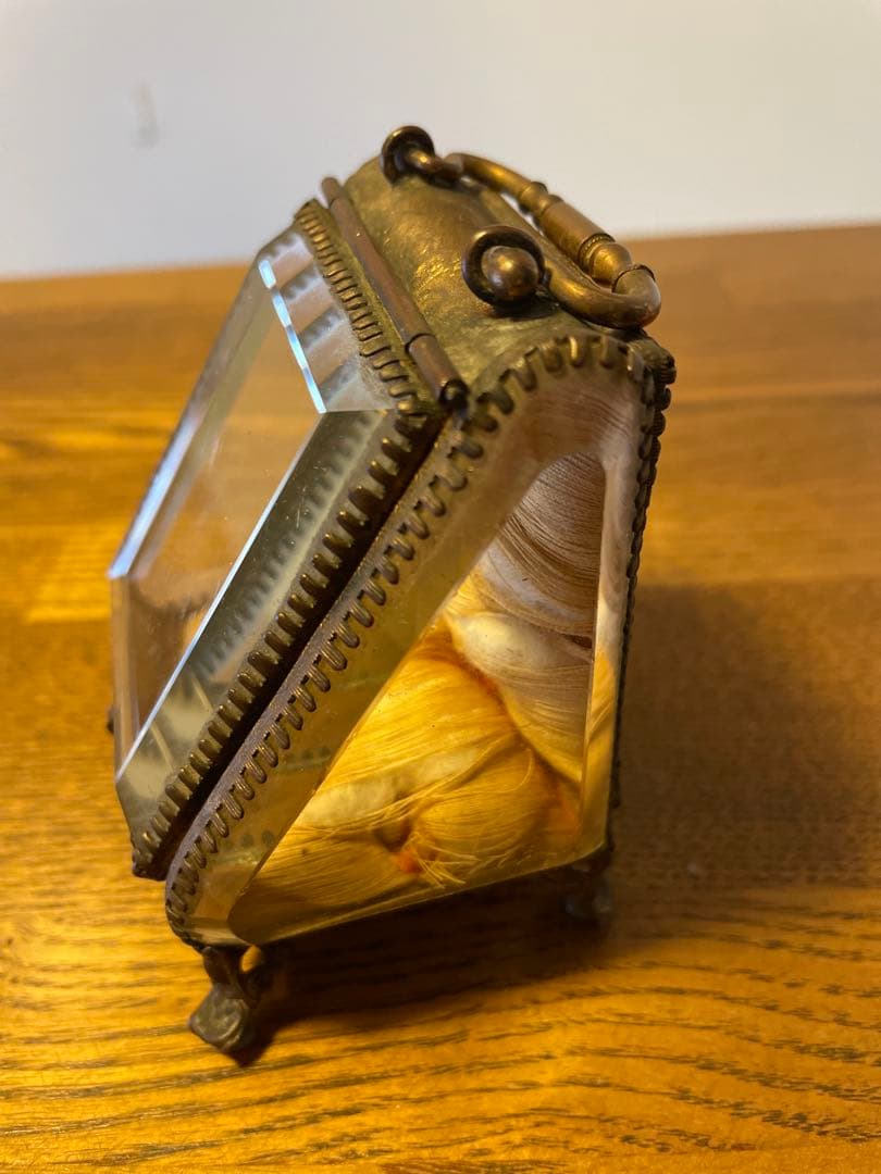 【フランス製】ガラスケース アンティーク ヴィンテージ