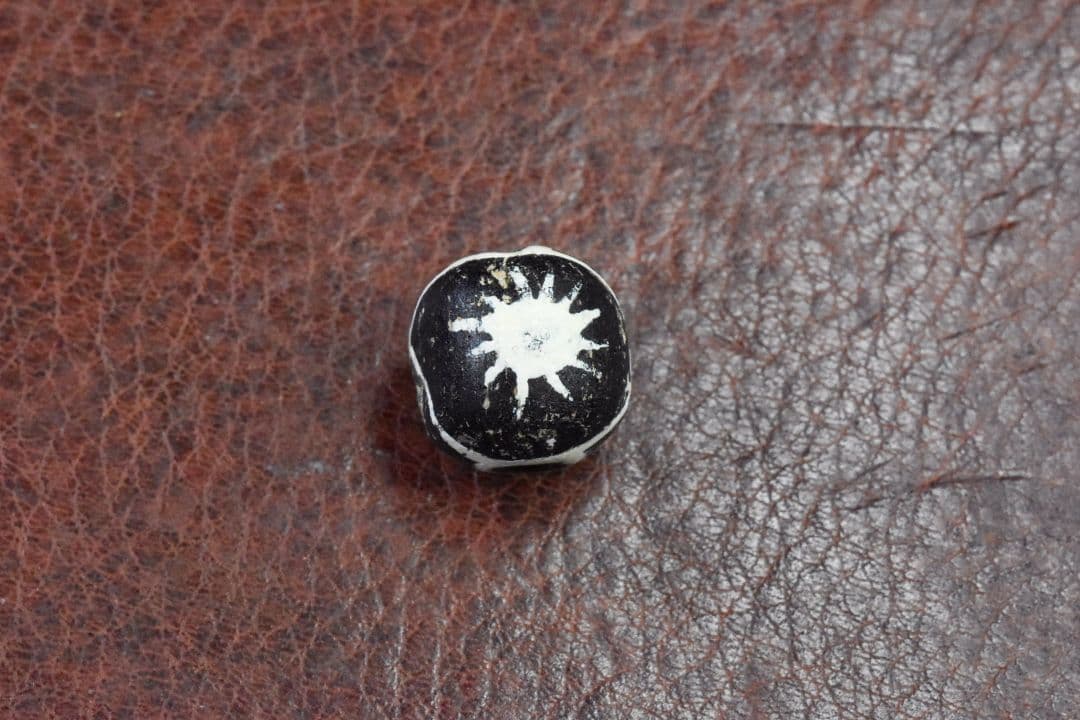 専用ページ 本物保証 ジャワ島産マニックブルン