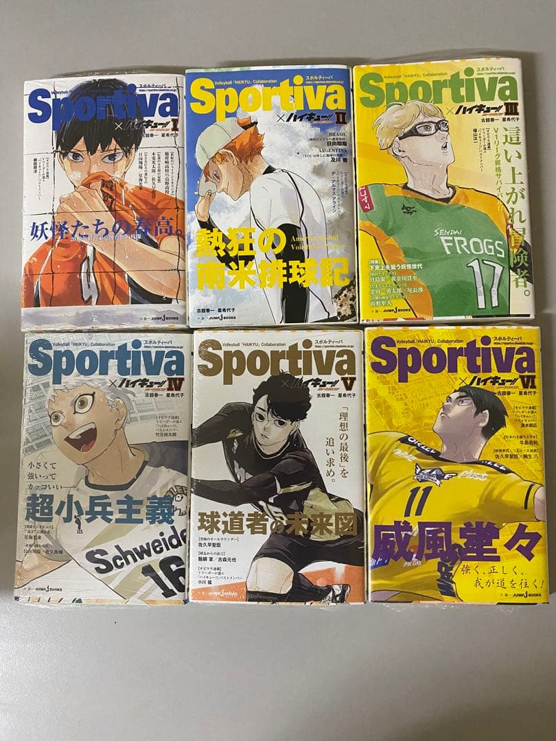 ハイキューショーセツバンSportiva 小説本体とビジュアルボードのセット