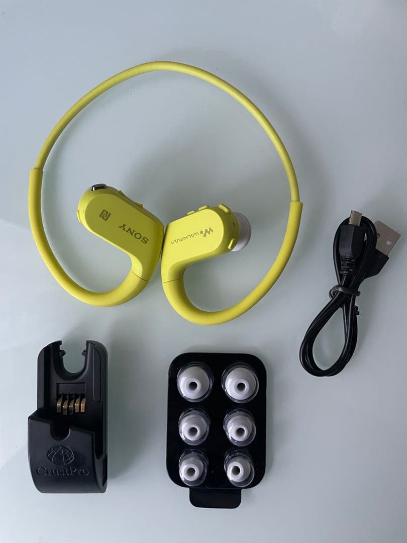 ソニー ヘッドホン一体型ウォークマン Wシリーズ NW-WS623 本体