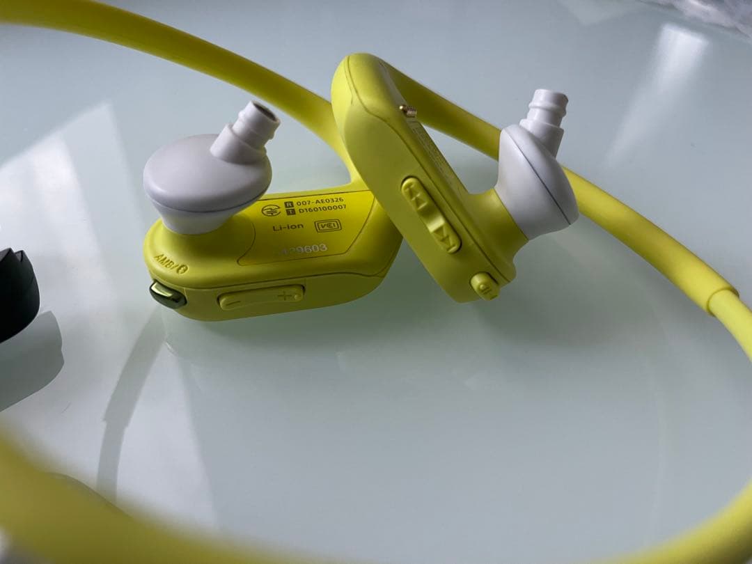 ソニー ヘッドホン一体型ウォークマン Wシリーズ NW-WS623 本体