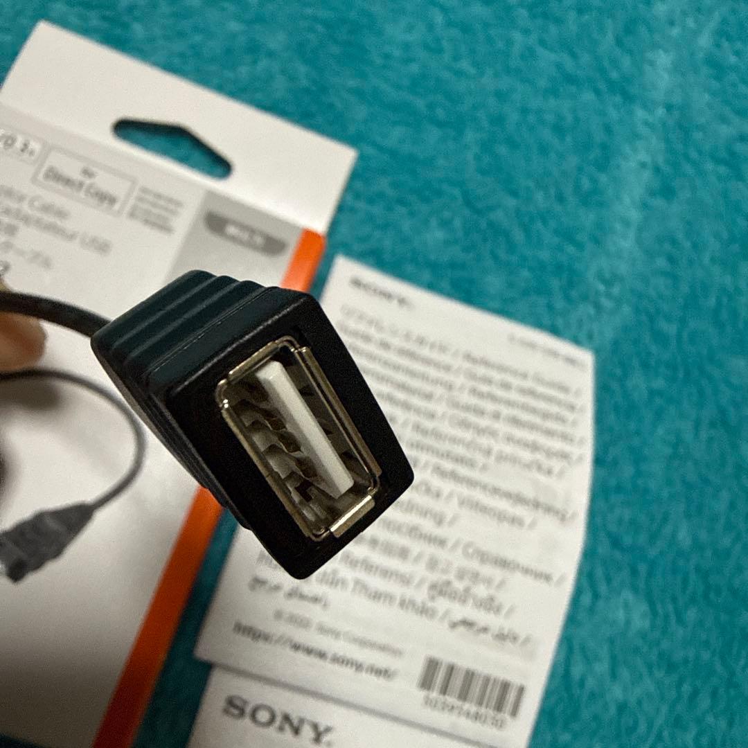 ブラックSONY FDR-AX45AビデオカメラSDカードTOUGH 128G他