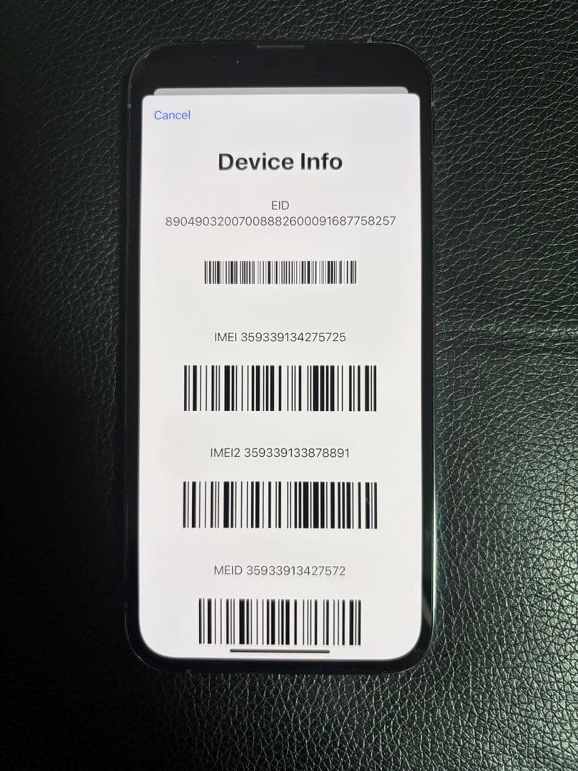 Apple iPhone 13 Pro シエラブルー256GB