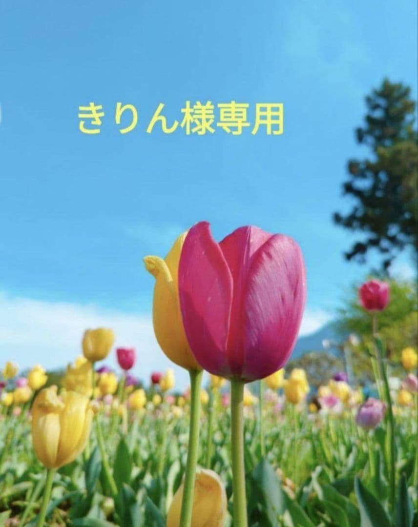 アスタリールACT　３０本セット