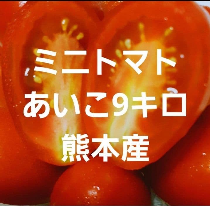 ミニトマトあいこ9キロ